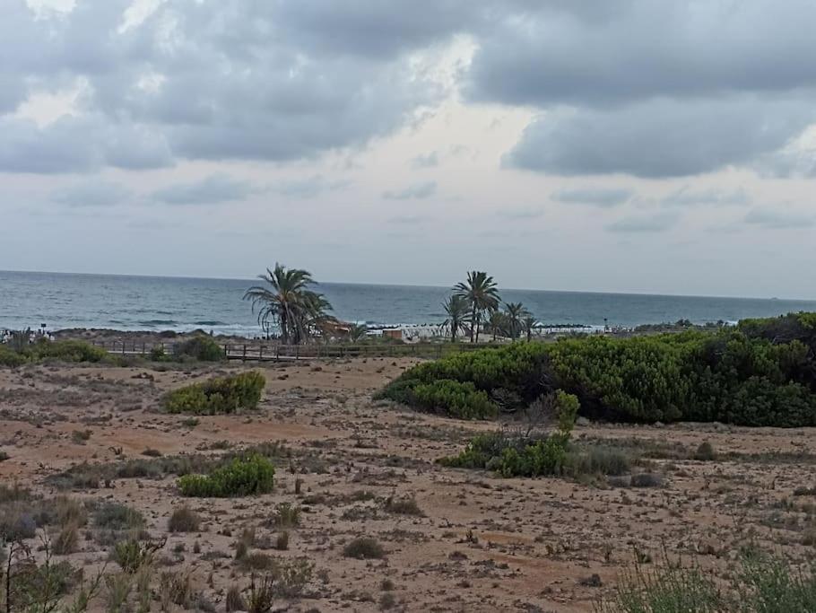 Bungalow En Primera Linea Del Mar Arenales del Sol Dış mekan fotoğraf