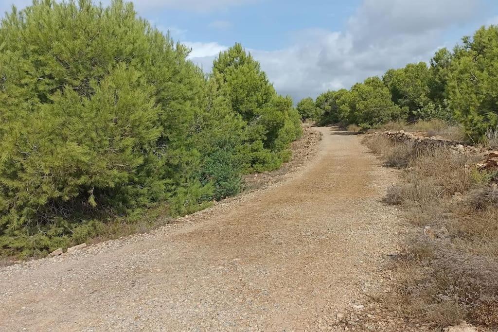 Bungalow En Primera Linea Del Mar Arenales del Sol Dış mekan fotoğraf