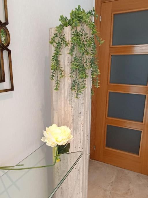 Bungalow En Primera Linea Del Mar Arenales del Sol Dış mekan fotoğraf