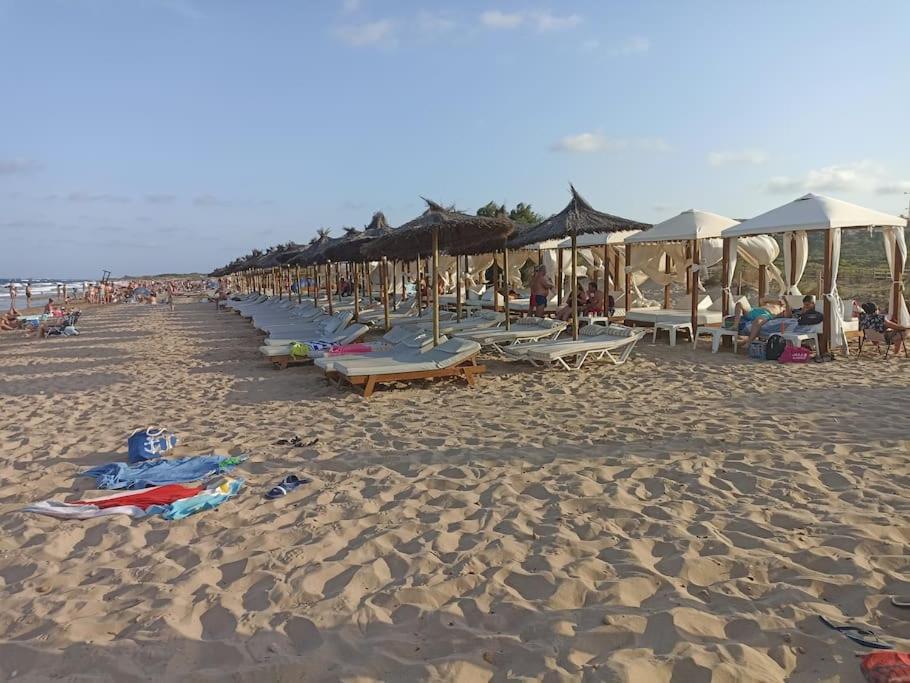 Bungalow En Primera Linea Del Mar Arenales del Sol Dış mekan fotoğraf
